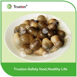 Canned Straw Mushroom 