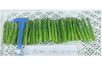 IQF green asparagus