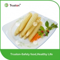 Canned Baby Corn In Brine With Best Price