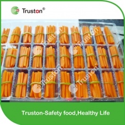 Frozen Bundled Carrots from China