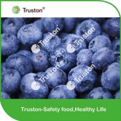 Frozen Blueberries for sale