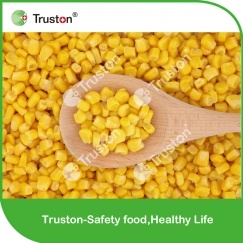 Cheap Hot saling New Crop Sweet Corn