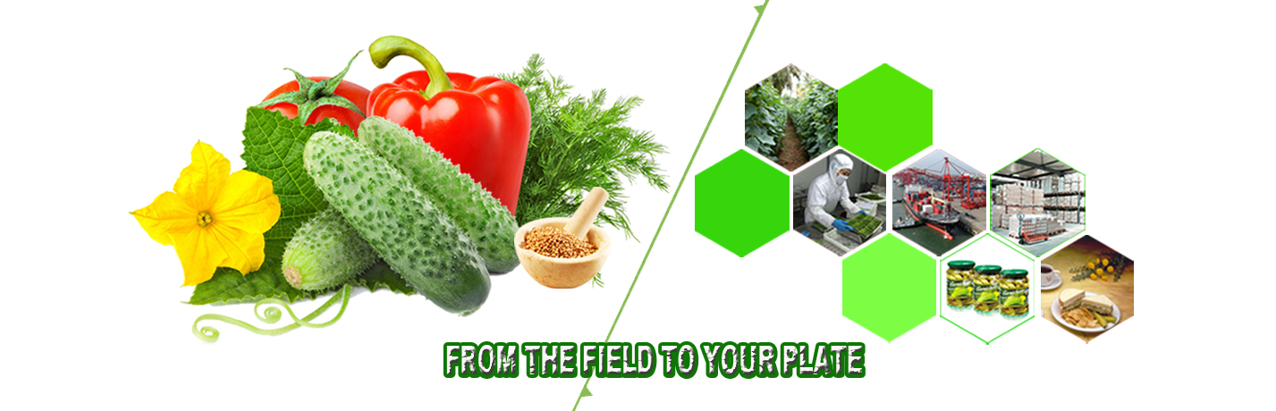 Fresh Vegetables Foods